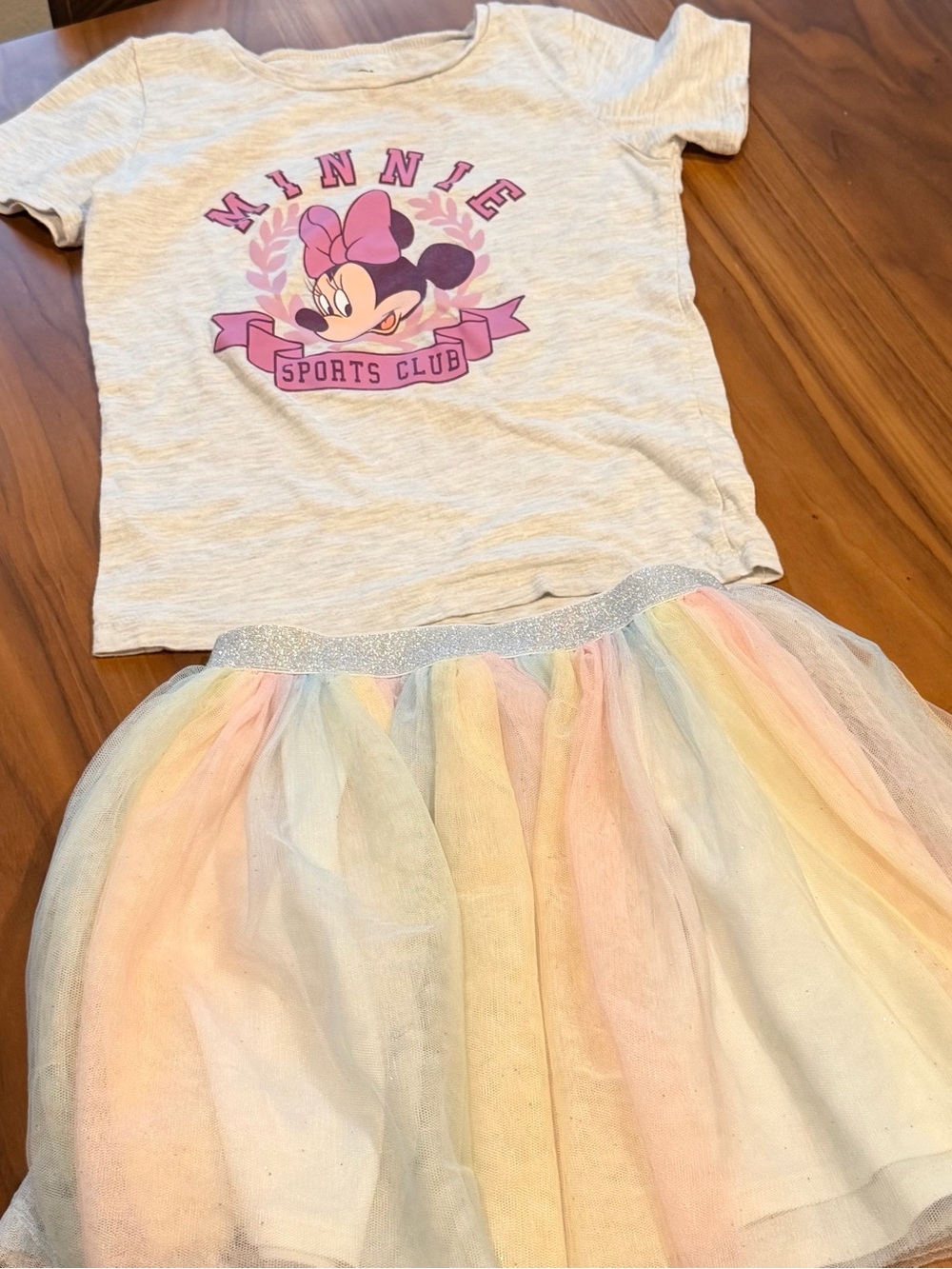 Disney Minnie Mouse heather grey shirt/Pastel Rainbow Tulle Skirt Set